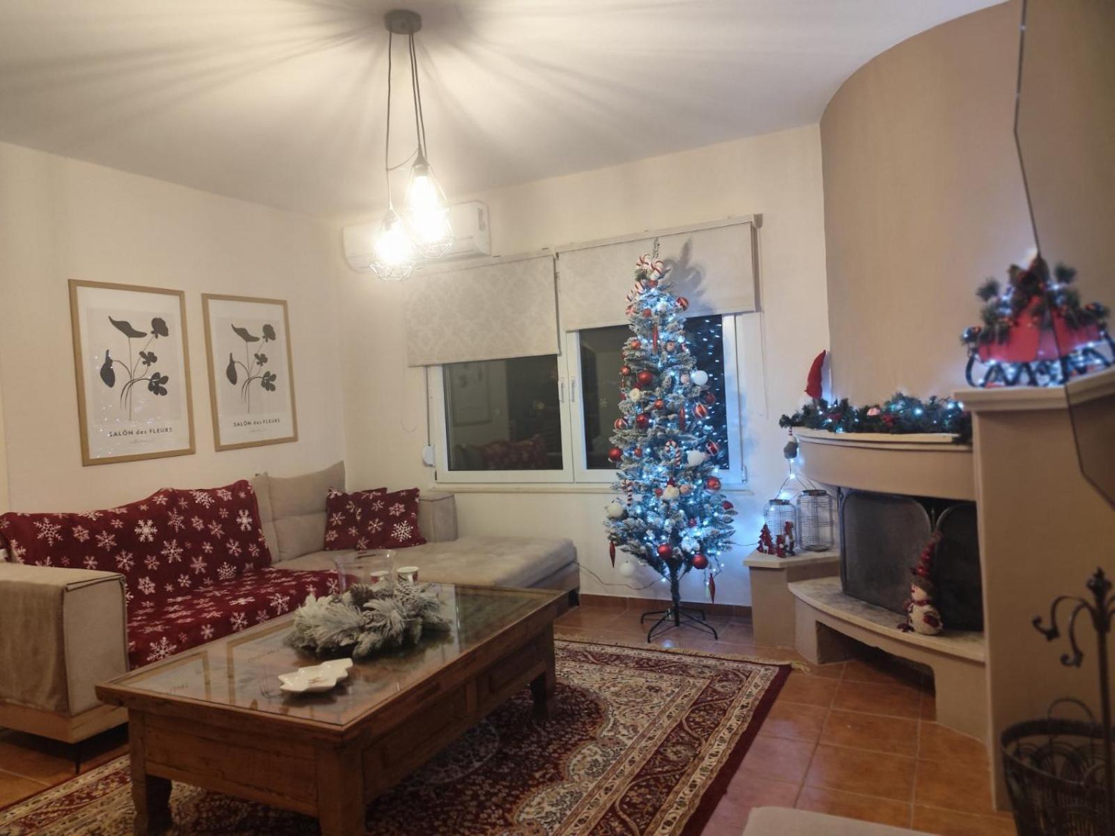 Nautilus Villa - Private Pool Elia  Экстерьер фото